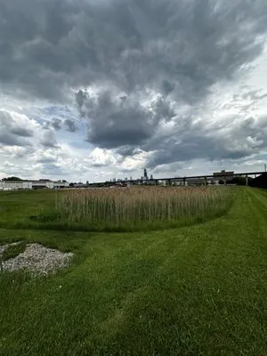 Grand Landscaping Logo