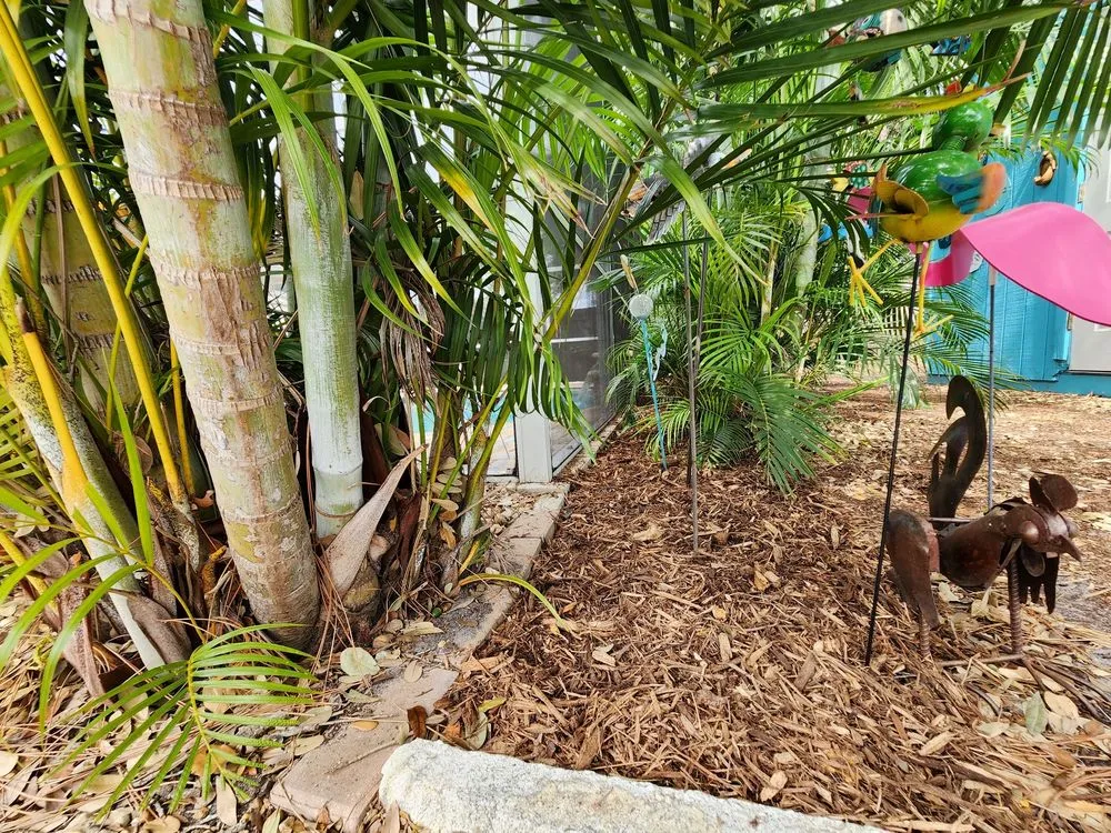 Custom lawn mowing service experts serving St. Petersburg, FL - Grand Line Lawncare