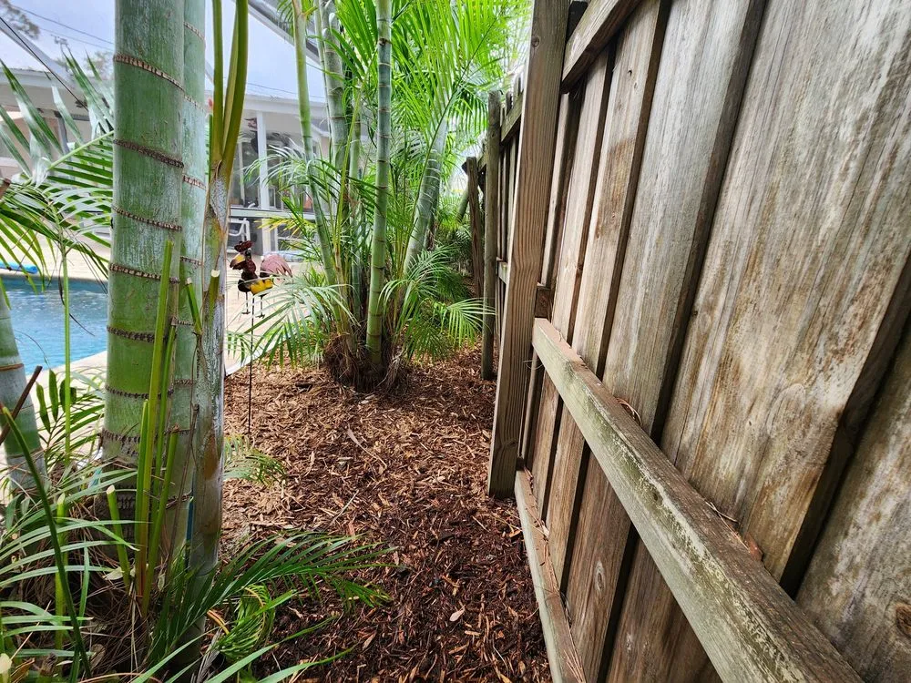 Trusted lawn mowing service experts serving St. Petersburg, FL - Grand Line Lawncare