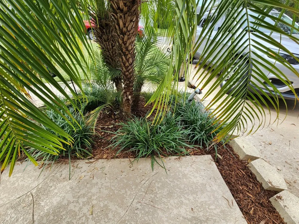 Custom lawn care service for homes across St. Petersburg, FL - Grand Line Lawncare
