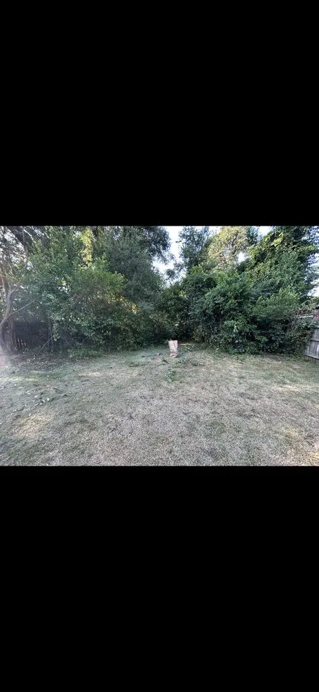 Local garden landscaping experts serving Augusta, GA - Grand Magnolia