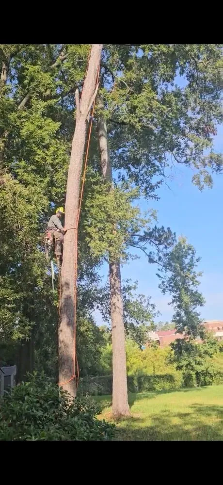 Reliable yard maintenance for homes across Augusta, GA - Grand Magnolia