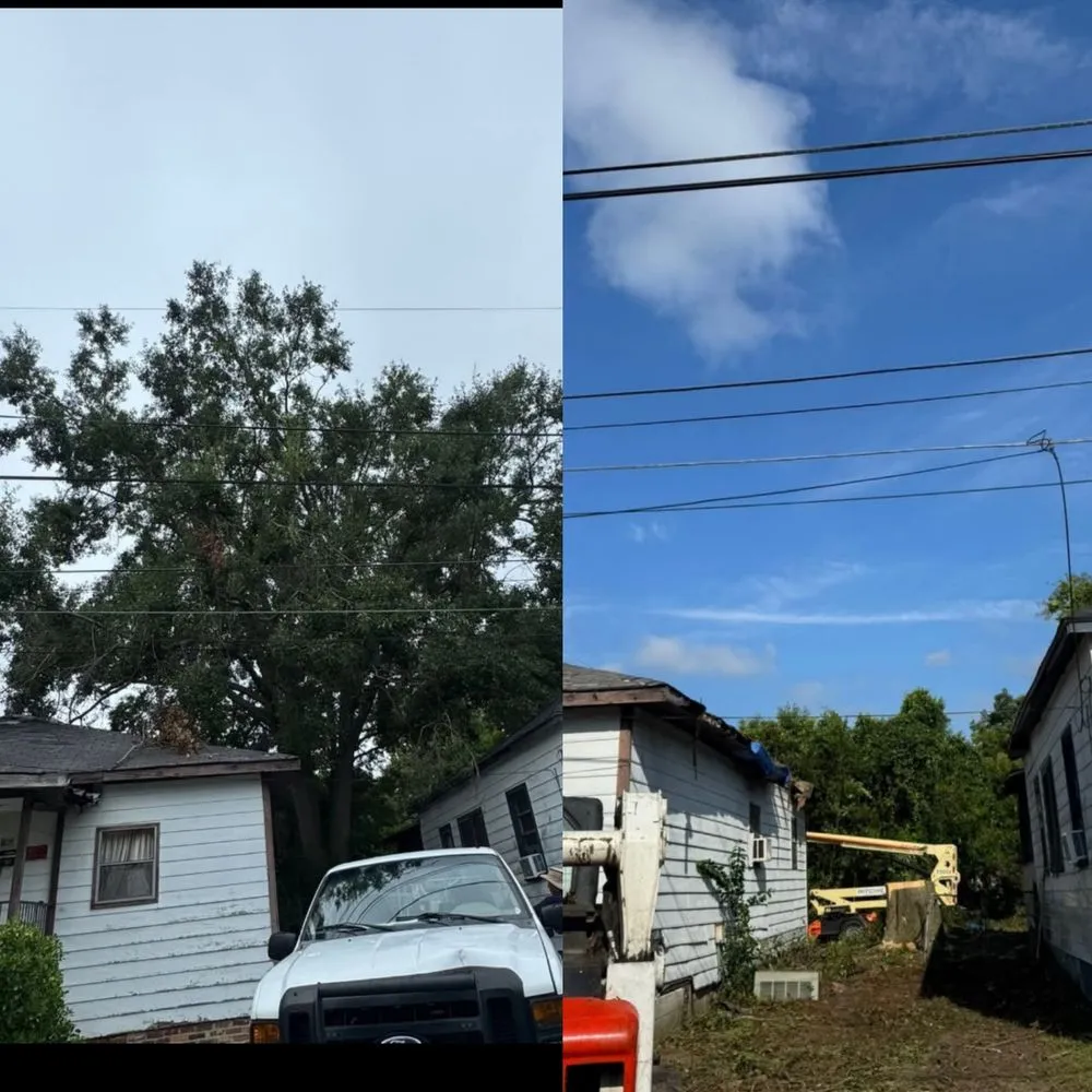 Trusted landscaping services for outdoor upgrades across Augusta, GA - Grand Magnolia