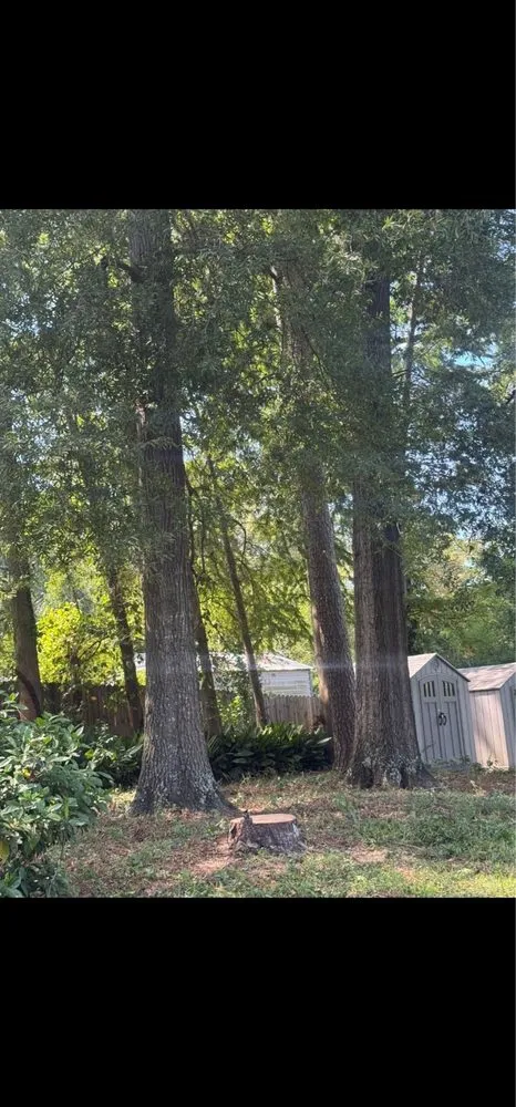 Affordable landscape design experts serving Augusta, GA - Grand Magnolia