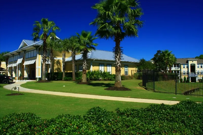 Expert landscaping services in Camarillo, CA - Grand Oak Landscape Maintenance