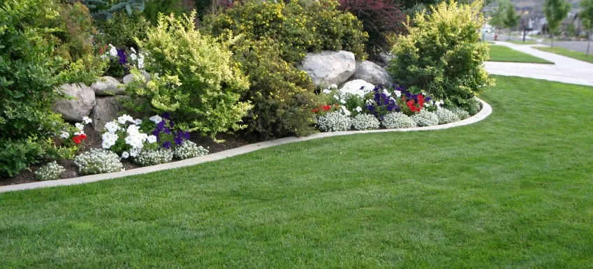 Local garden landscaping in Camarillo, CA - Grand Oak Landscape Maintenance