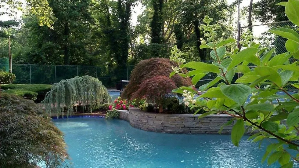 Professional yard cleanup service in Camarillo, CA by Grand Oak Landscape Maintenance