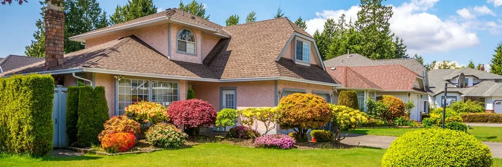 Professional yard maintenance in National City, CA - Grand Oaks Landscaping