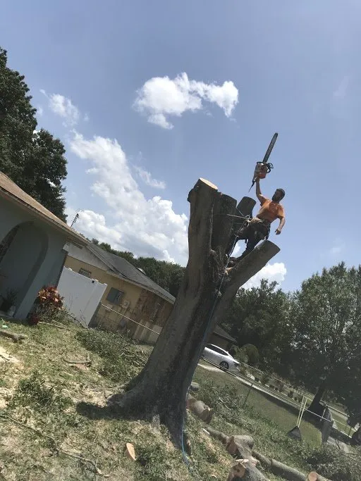 Local yard cleanup service experts serving Brandon, FL - Grand Oaks Property Maintenance