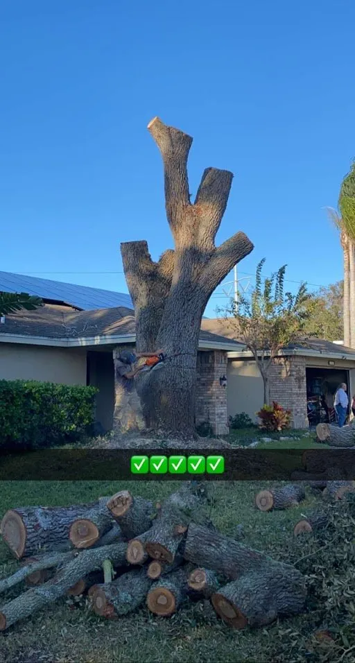 Affordable residential landscaping for residential properties in Brandon, FL by Grand Oaks Property Maintenance