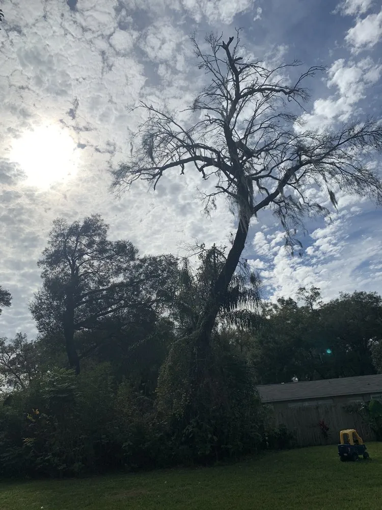 Local outdoor landscaping for beautiful yards across Brandon, FL - Grand Oaks Property Maintenance