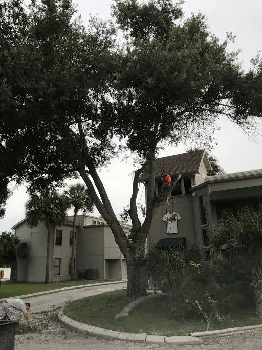 Trusted landscape design in Brandon, FL - Grand Oaks Property Maintenance