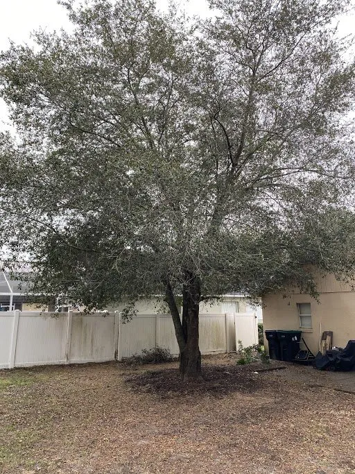 Trusted lawn mowing service experts serving Brandon, FL - Grand Oaks Property Maintenance