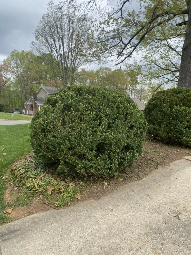 Reliable lawn care service experts serving Greensboro, NC - Grand Scapes