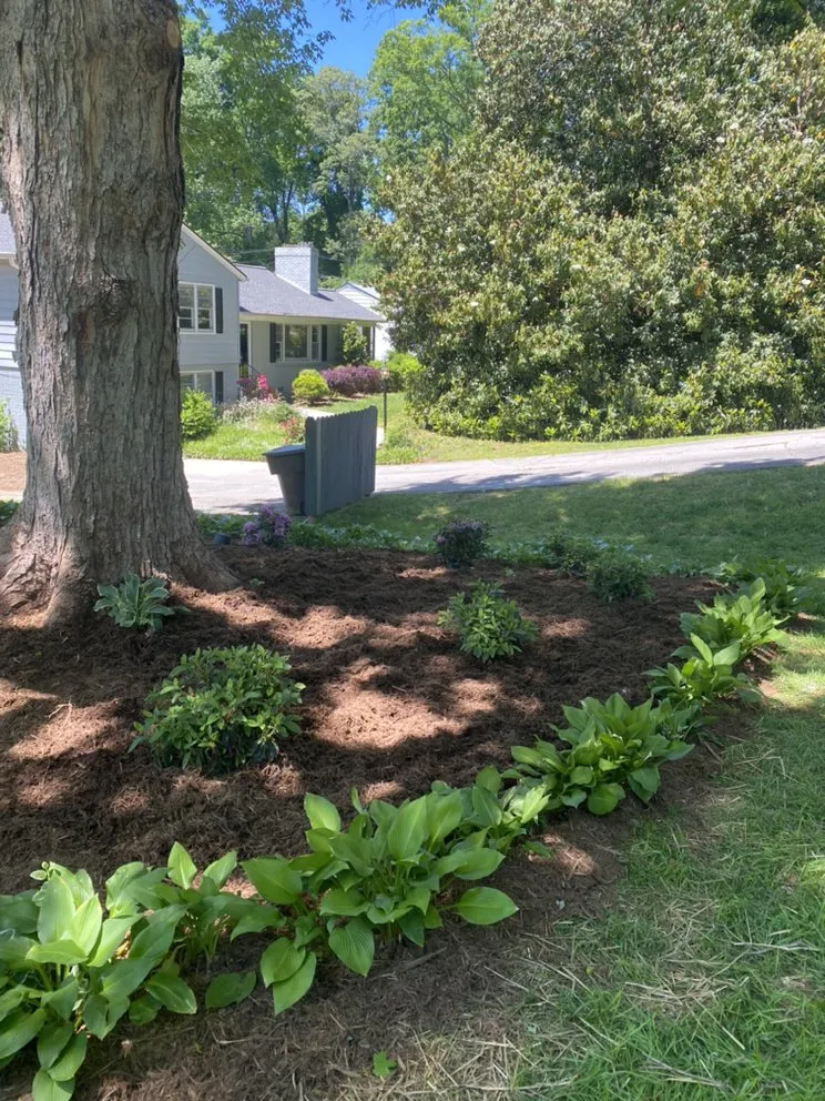 Top-rated residential landscaping in Greensboro, NC by Grand Scapes