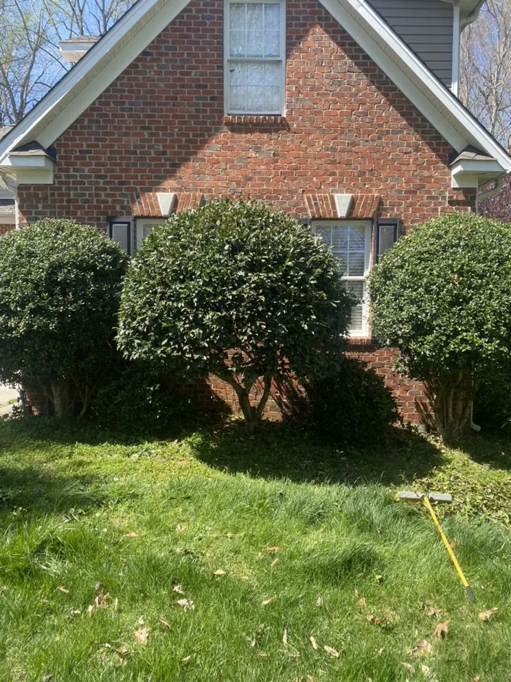 Expert lawn care service for homes across Greensboro, NC - Grand Scapes