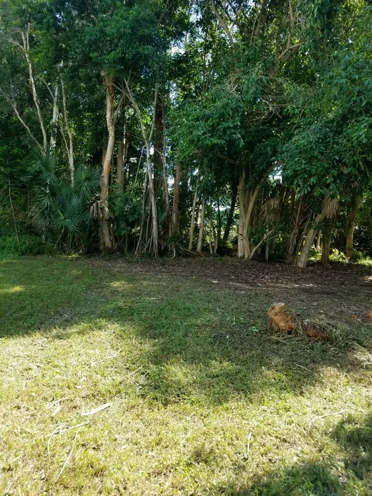 Reliable lawn care service for year-round maintenance across Saint James City, FL - Grand Slam Lawn Care