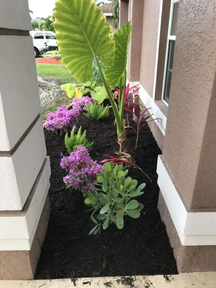 Professional landscape installation in Saint James City, FL - Grand Slam Lawn Care