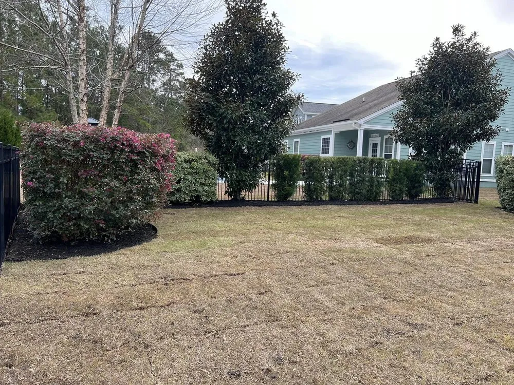 Expert yard maintenance experts serving Myrtle Beach, SC - Grand Strand Cuts