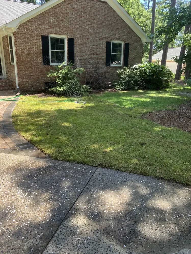 Top-rated yard cleanup service in Myrtle Beach, SC by Grand Strand Forestry Mulching & Services