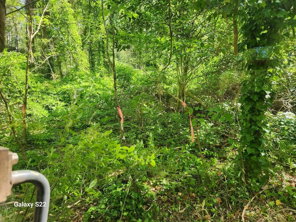 Reliable yard maintenance in Myrtle Beach, SC by Grand Strand Forestry Mulching & Services