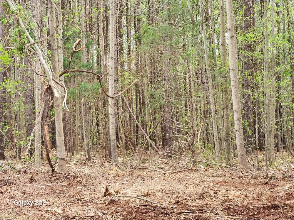 Trusted landscape installation in Myrtle Beach, SC by Grand Strand Forestry Mulching & Services