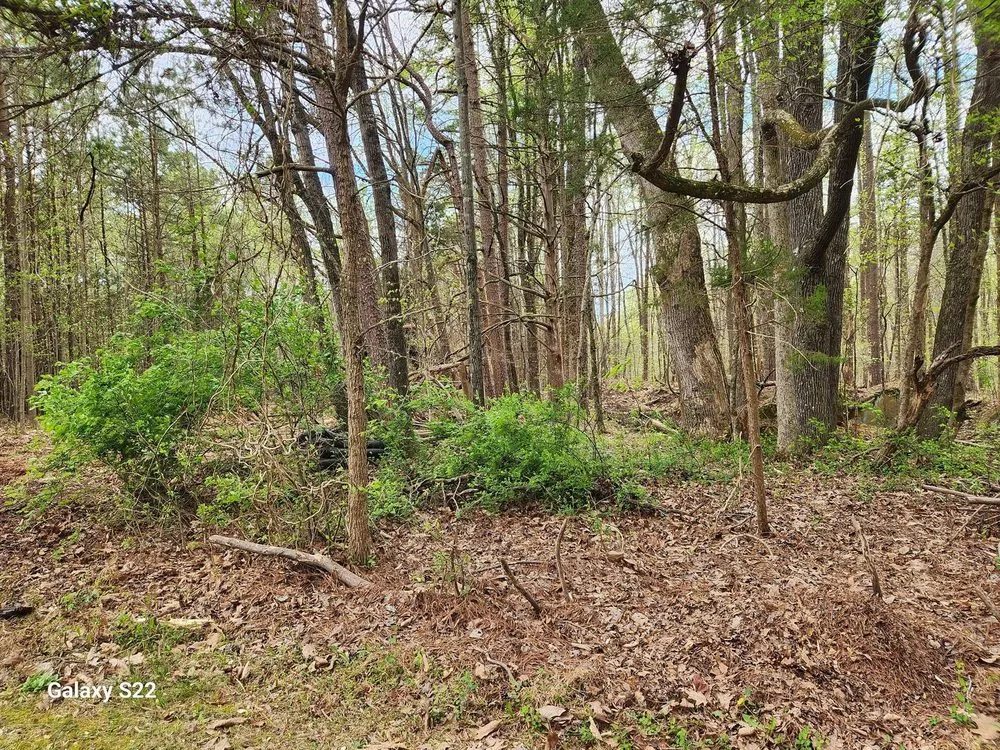 Top-rated residential landscaping for beautiful yards in Myrtle Beach, SC by Grand Strand Forestry Mulching & Services