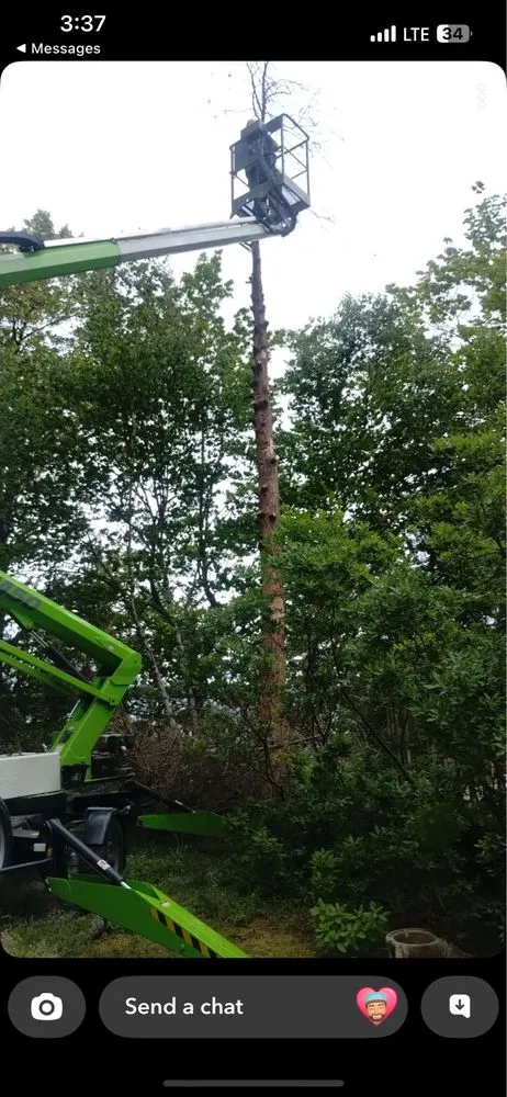 Local yard cleanup service for beautiful yards in Cadillac, MI by Grand Traverse Bay Outdoor Services