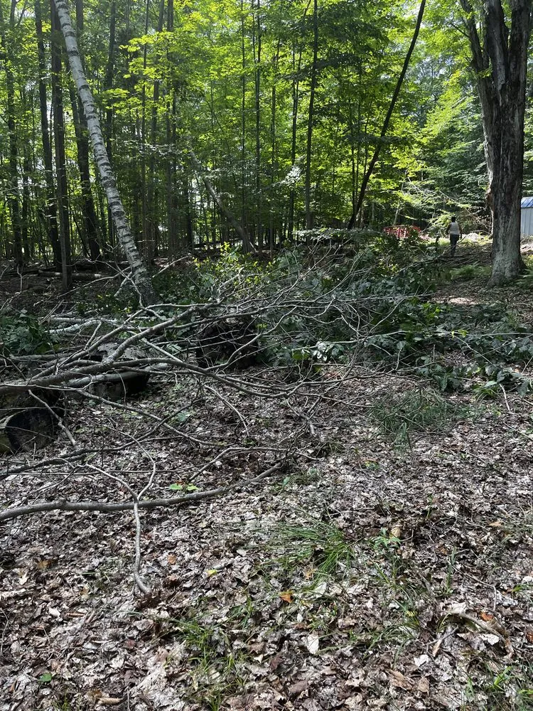 Affordable outdoor landscaping experts serving Cadillac, MI - Grand Traverse Bay Outdoor Services