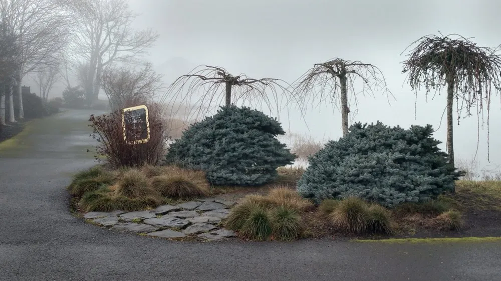 Top-rated landscaping services near you in Vancouver, WA by Grand-View Landscape