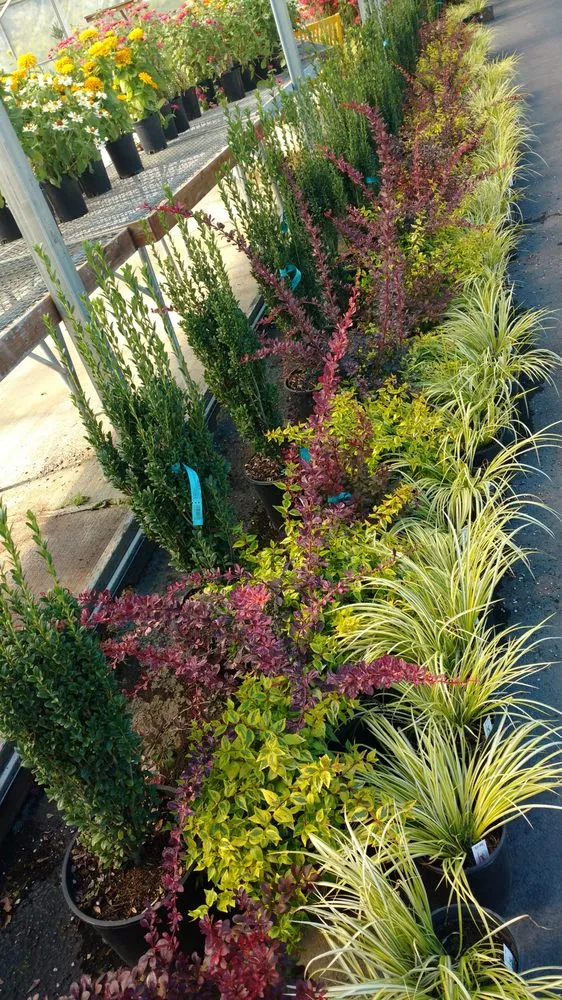 Professional residential landscaping experts serving Vancouver, WA - Grand-View Landscape