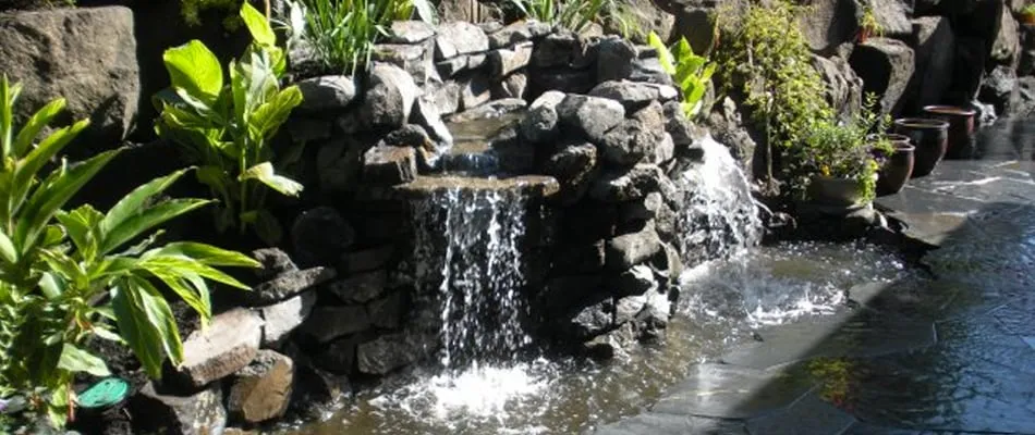 Top-rated landscaping services experts serving Vancouver, WA - Grand-View Landscape