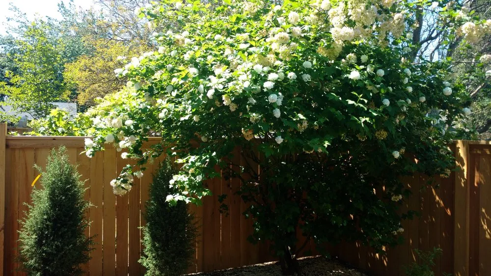 Affordable outdoor landscaping in Vancouver, WA by Grand-View Landscape