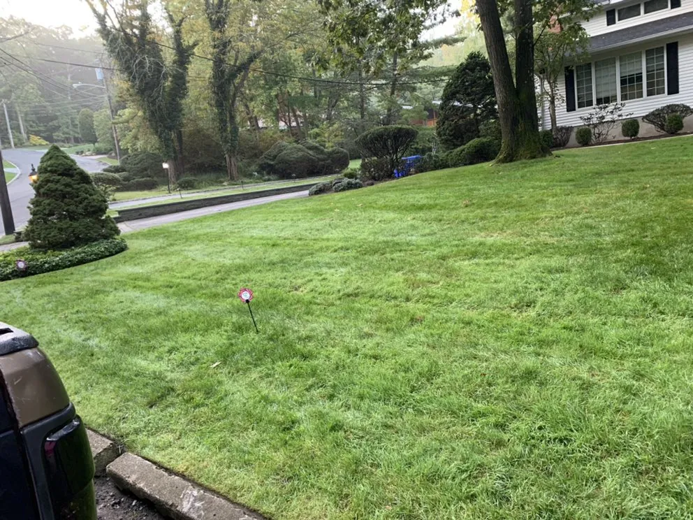 Expert garden landscaping experts serving Bergenfield, NJ - Grande & Daughters Lawn Care