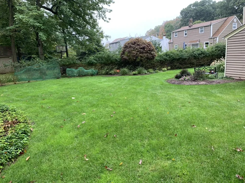 Expert lawn mowing service for beautiful yards in Bergenfield, NJ by Grande & Daughters Lawn Care
