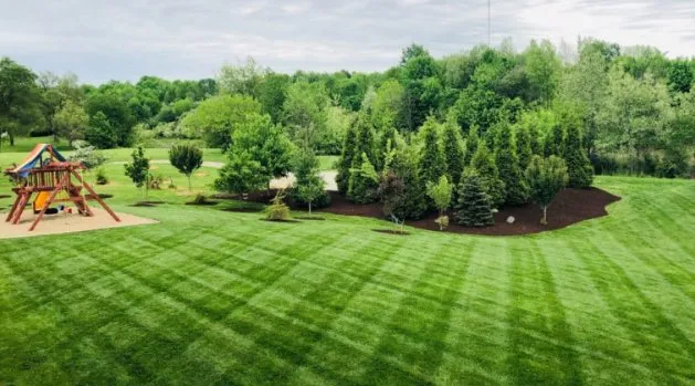 Professional outdoor landscaping in Royston, GA by Grandeur Expertise Landscape & Designs