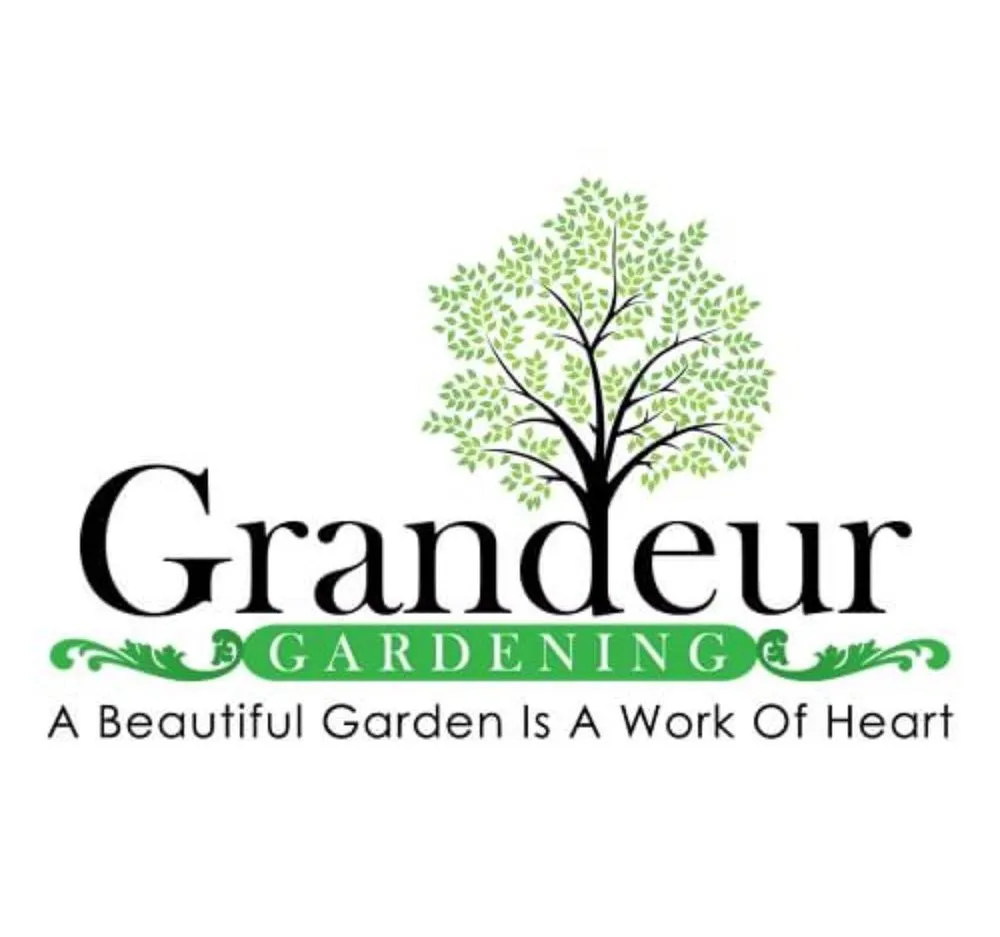 Expert outdoor landscaping for beautiful yards across Rancho Cucamonga, CA - Grandeur Green Landscaping