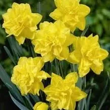 Local landscape installation for residential properties across Banner Elk, NC - Grandfather Mountain Nursery Garden Center And Landscaping