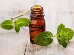 Top-rated outdoor landscaping in Banner Elk, NC - Grandfather Mountain Nursery Garden Center And Landscaping