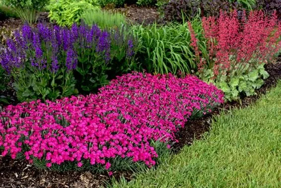 Affordable garden landscaping in Banner Elk, NC - Grandfather Mountain Nursery Garden Center And Landscaping