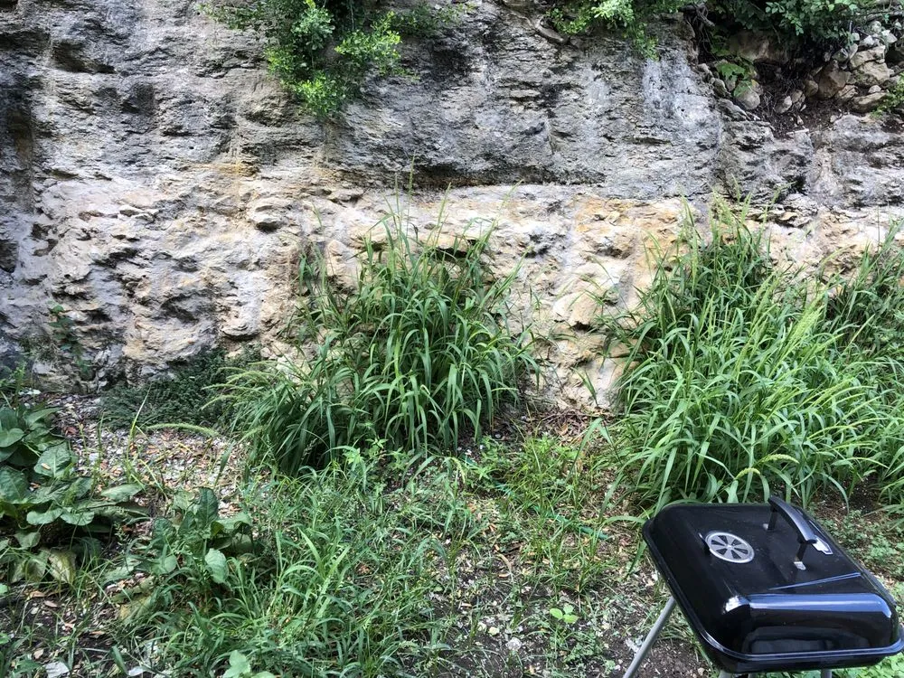 Professional landscape installation experts serving Devine, TX - Grandma Hands with Lots of Love