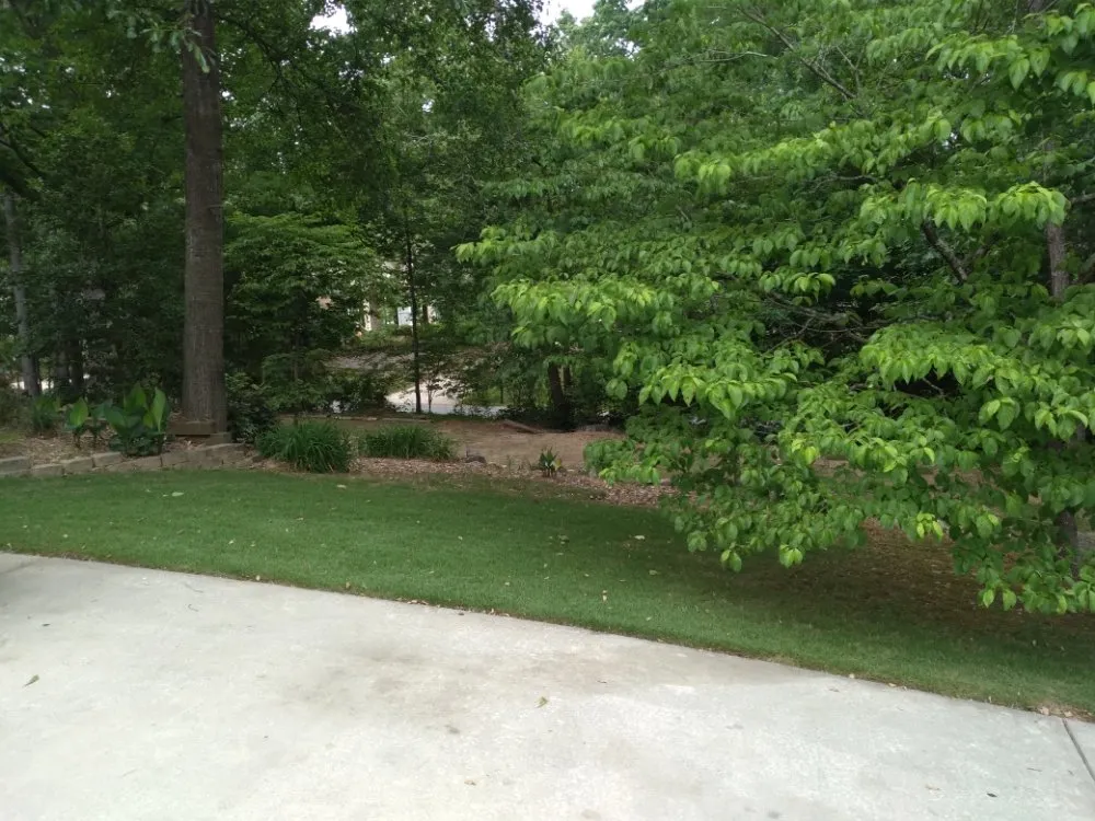 Custom landscaping services experts serving Dawsonville, GA - Grandmas Boys