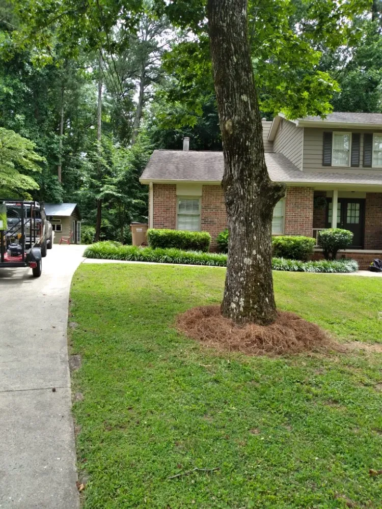 Expert yard cleanup service in Dawsonville, GA - Grandmas Boys