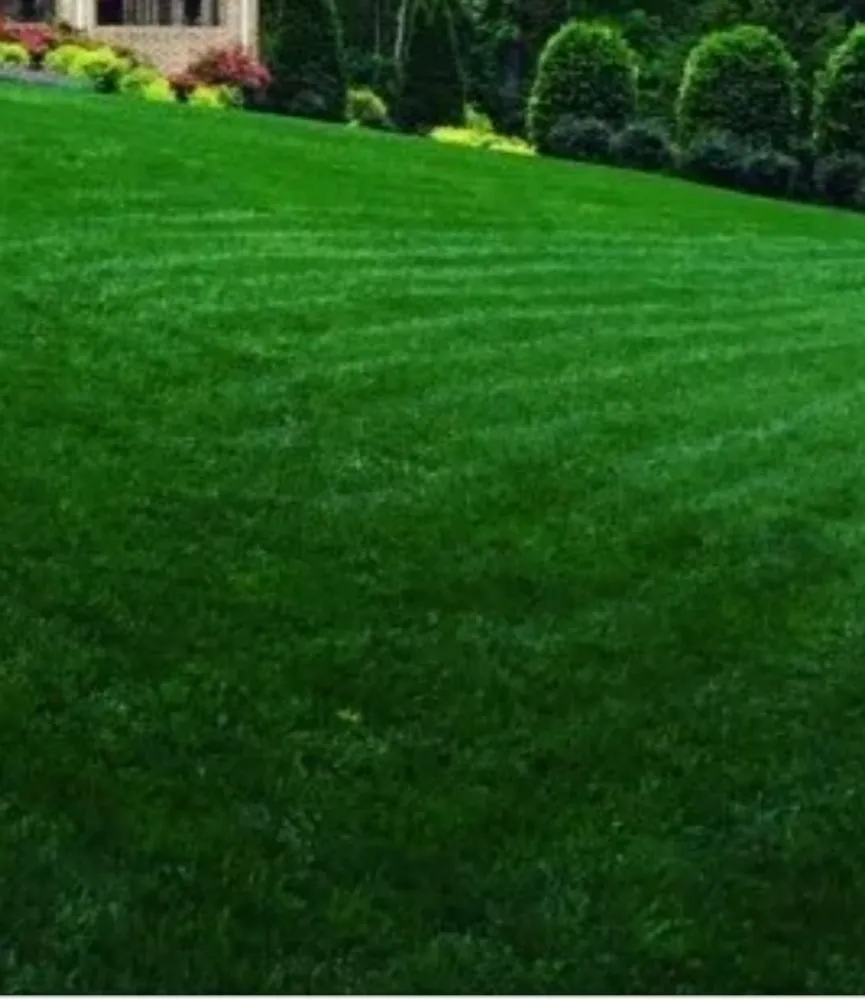 Professional outdoor landscaping with custom design across Dawsonville, GA - Grandmas Boys