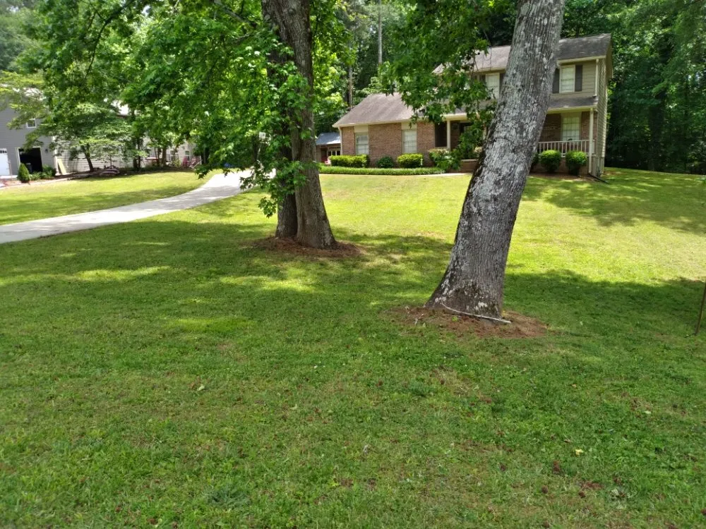 Custom lawn care service in Dawsonville, GA by Grandmas Boys