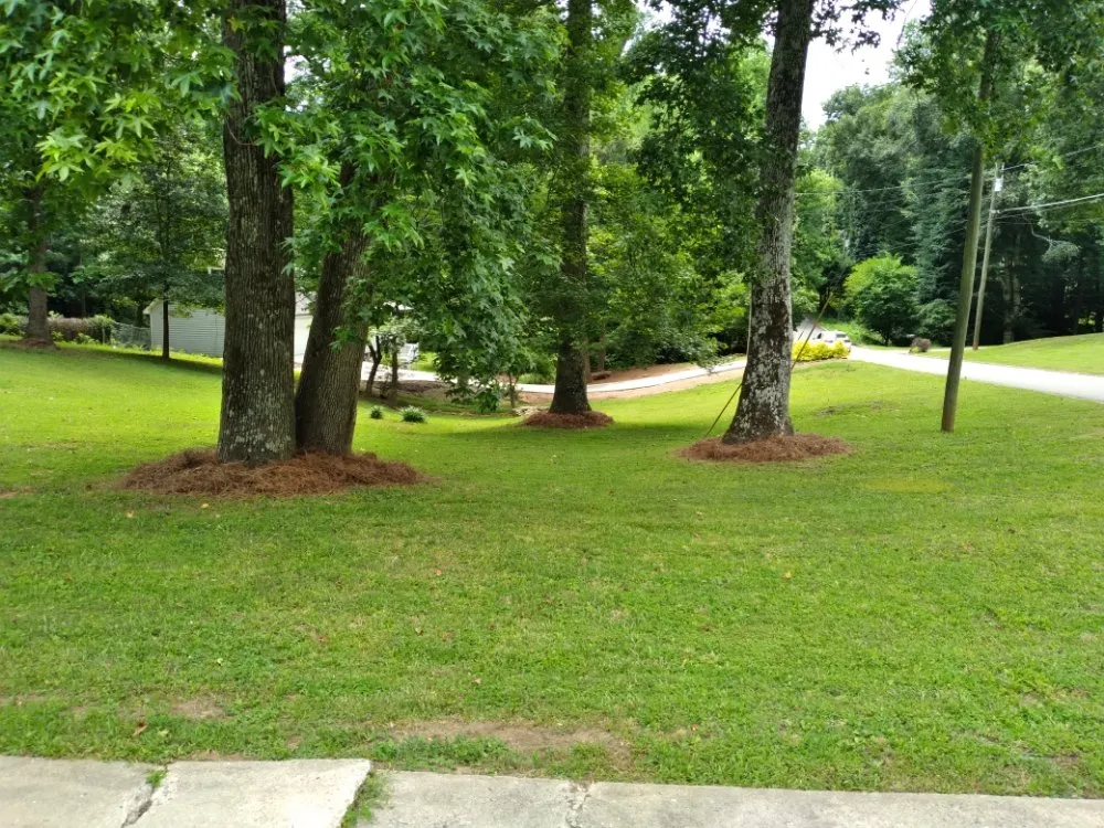Custom landscaping services for beautiful yards in Dawsonville, GA by Grandmas Boys
