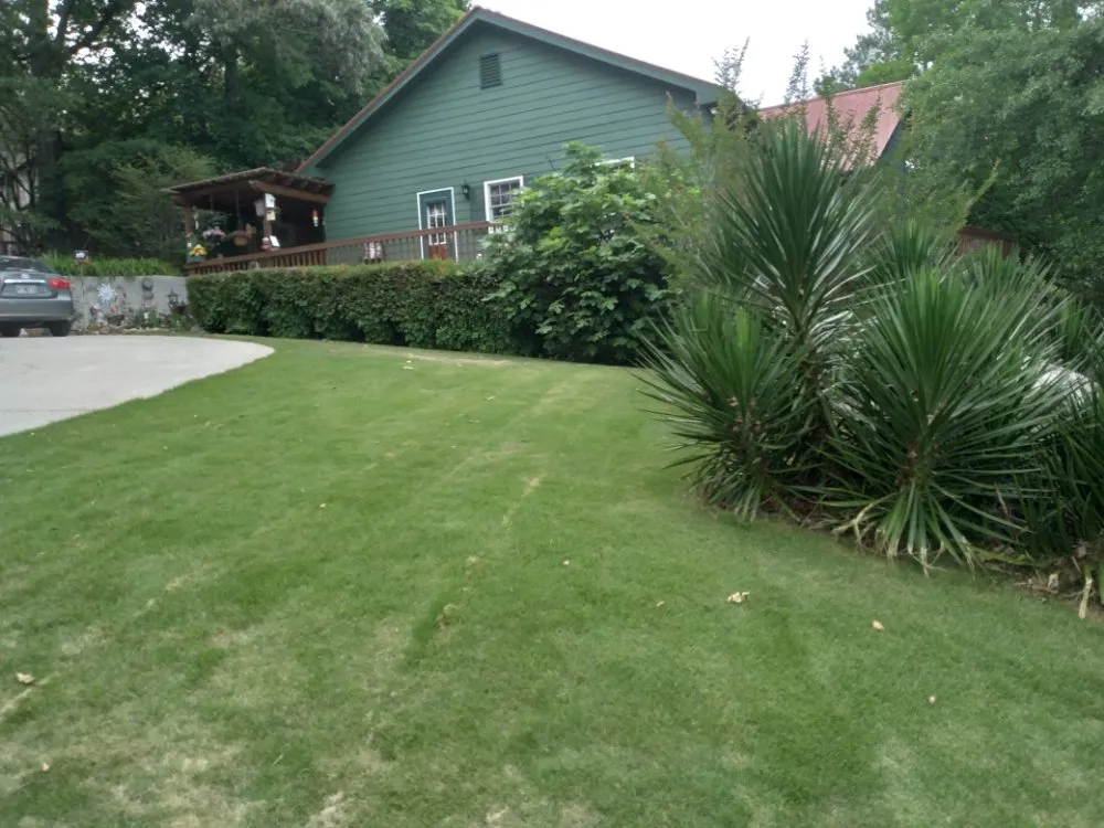 Trusted yard maintenance in Dawsonville, GA - Grandmas Boys