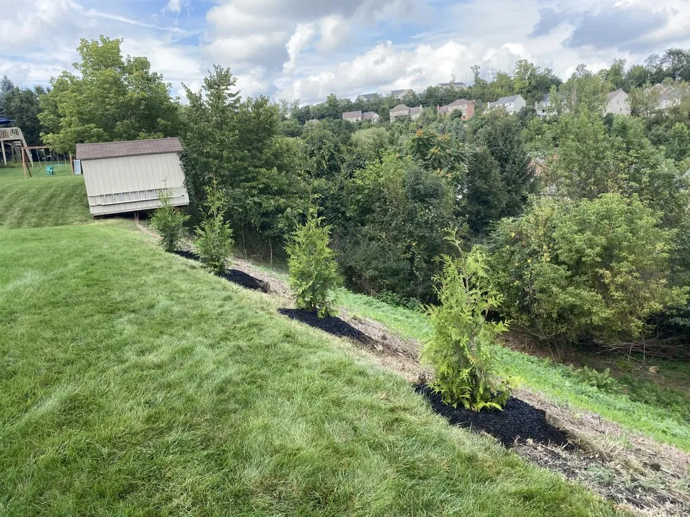 Affordable yard maintenance in Washington, PA by Grandmaster Lawn & Landscape