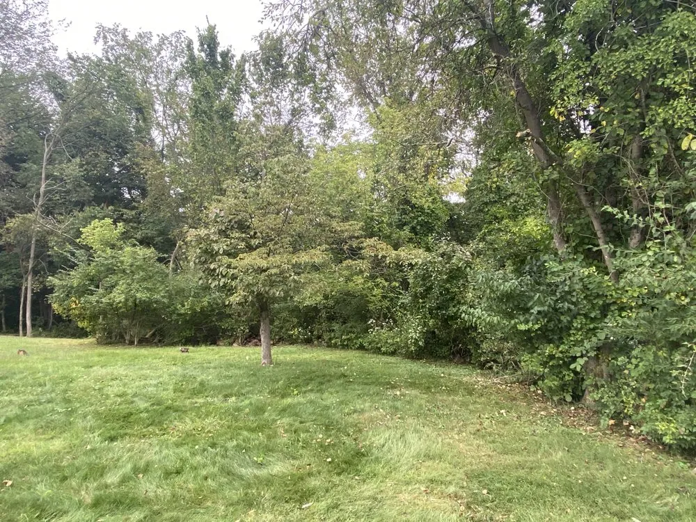 Local yard maintenance in Washington, PA by Grandmaster Lawn & Landscape