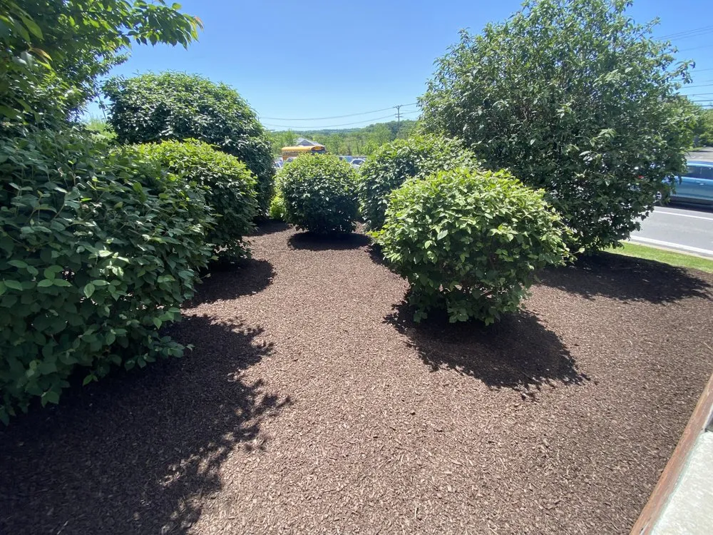 Affordable garden landscaping in Washington, PA by Grandmaster Lawn & Landscape